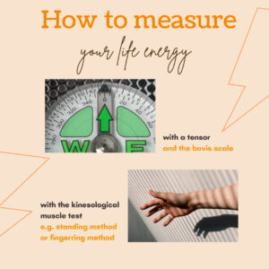 showing the picture of a scale and another picture of a hand and an arm with its shadow indicating that you can measure your life energy with it